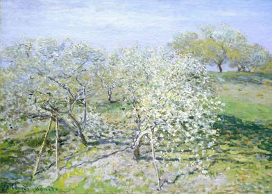 Apple Trees in Bloom 1873