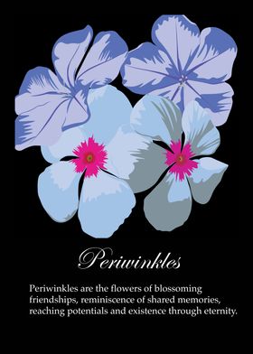 Periwinkles poster