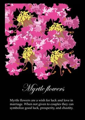 Myrtle flowers poster