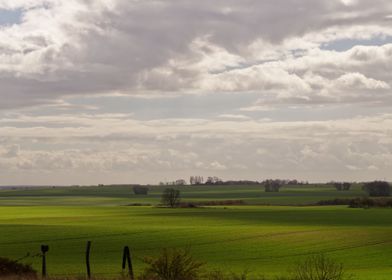 Farm Field