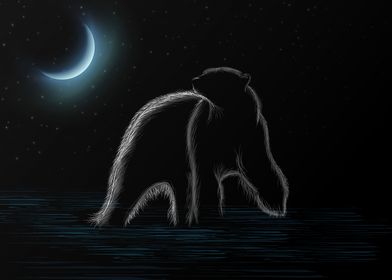 Bear in the moonlight