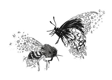 Aniometry Bee Butterfly