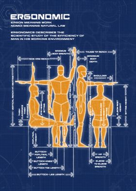 Ergonomics blueprint