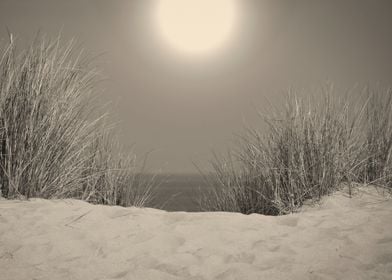 Sand dunes in sepia