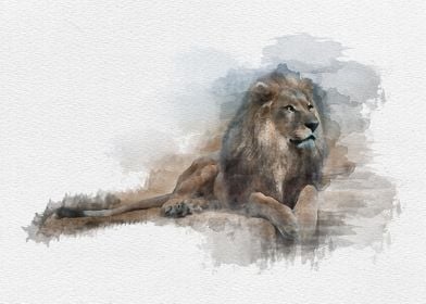 Lion Water Color