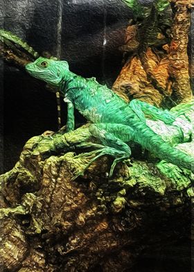 iguana green