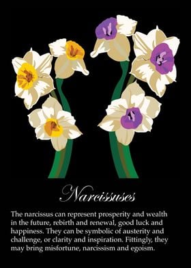 Narcissus flowers poster