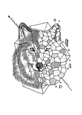 Aniometry Wolf