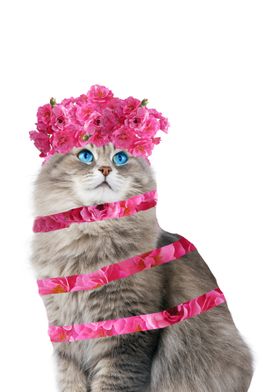 Cat Pink Flowers