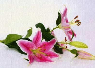 floral oil painting