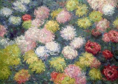 Chrysanthemums 1897 02