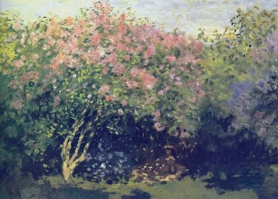 Lilacs in the Sun 1872