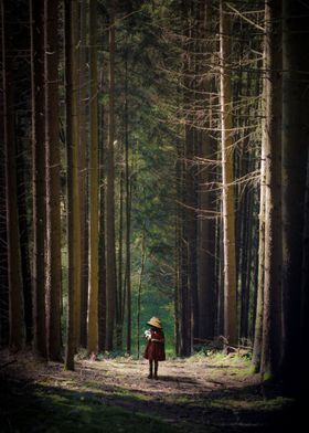 Into The Woods