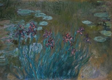 Irises and WaterLilies 1