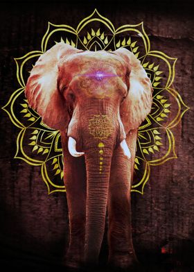 Mystic Medalion Elephant