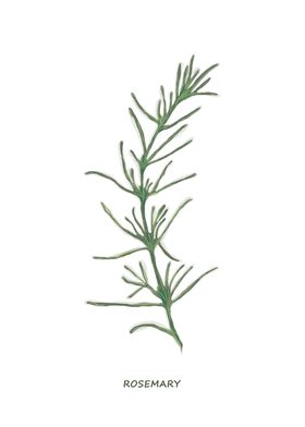 Rosemary