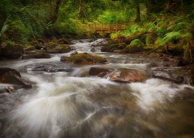 The wooden bridge over the