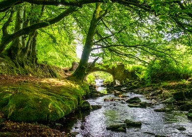 Robbers Bridge