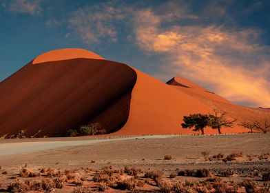 sand dunes evening