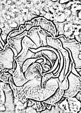 Abstract Rose 3