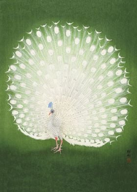 Peacock Japanese Woodblock