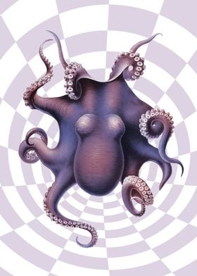 Octopus  Purple Dreamer