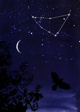 Starry Night and Moon