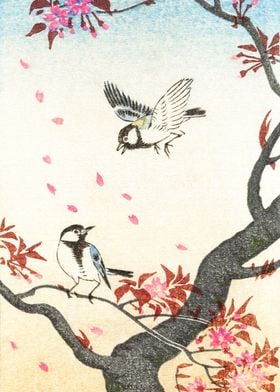 Birds on a blossomed tree