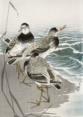 Sandpiper japanese woodcut