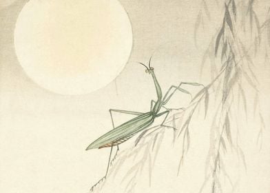 Praying Mantis woodblock