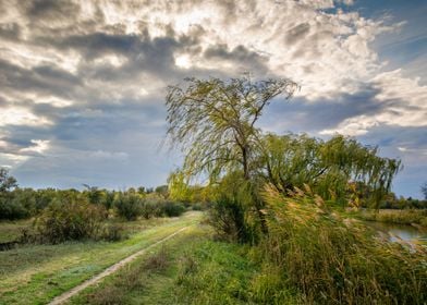 Autumn landscape