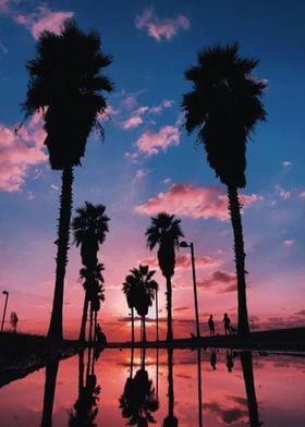 Palm Beach sunset