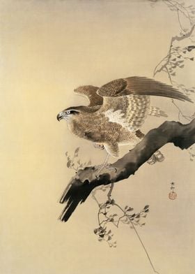 Hawk Japanese woodblock 