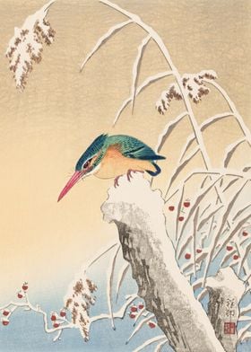 Kingfisher in winter art