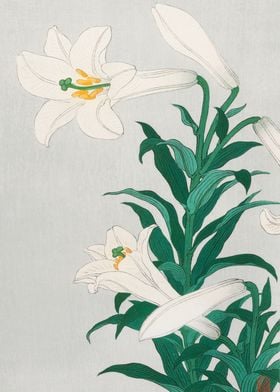 Lilies Japanese woodblock 