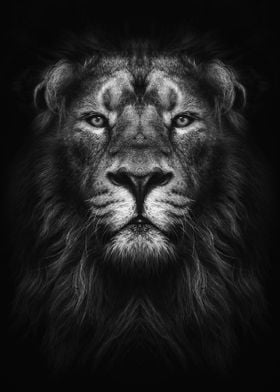 lion king face poster  bw