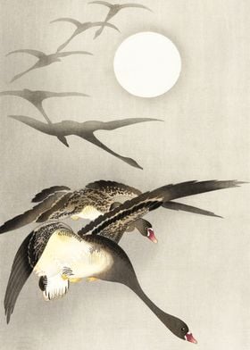 Geese flying in line print