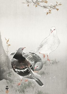 Pigeons under the tree art