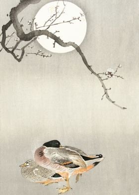 Ducks and full Moon print