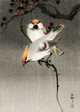 Waxwing birds woodblock 