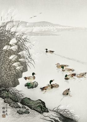 Ducks in lake Japanese art