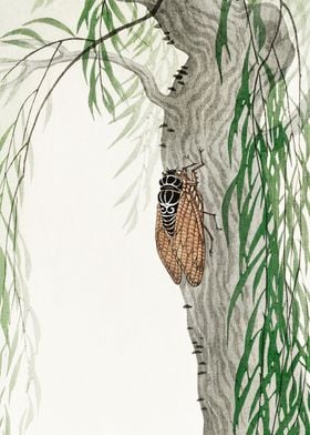 Cicada on willow tree art