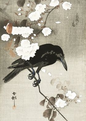 Crow on cherry tree print 