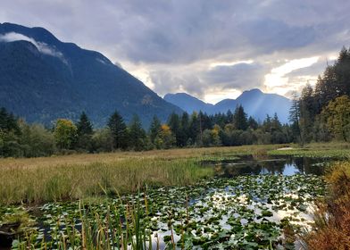 Kawkawa Creek