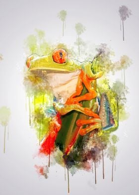 Red eyed Tree Frog