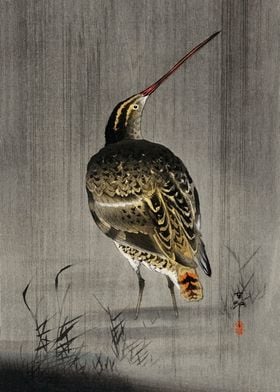 Snipe fishing Japanese art