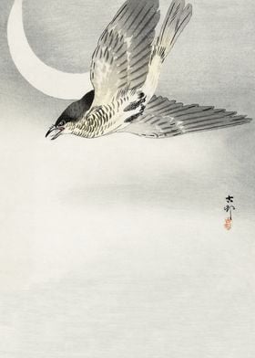 Cuckoo flying at night art