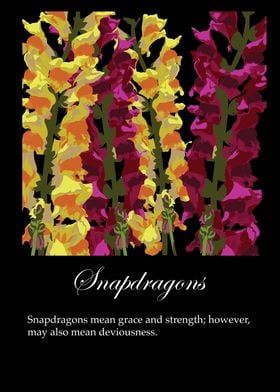 Snapdragons poster