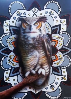 Owl Mandala 2