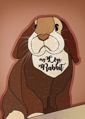My Lop Rabbit